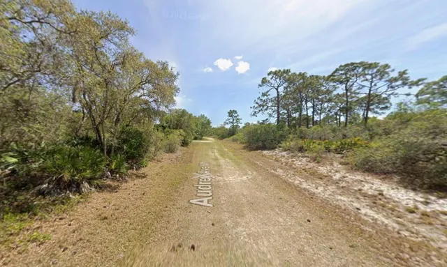 $20,000 | 124 Audrey Avenue Northwest, Lake Placid, FL 33852