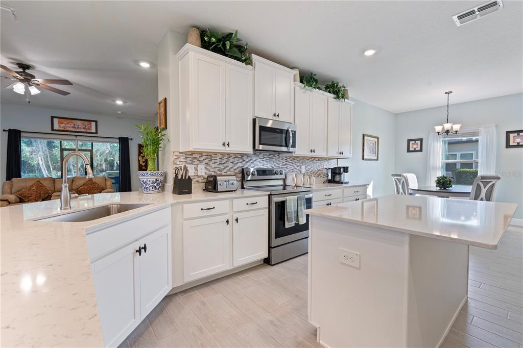 19643 Southwest 79th Place Dunnellon, FL 34432 - Photo 11 of 65