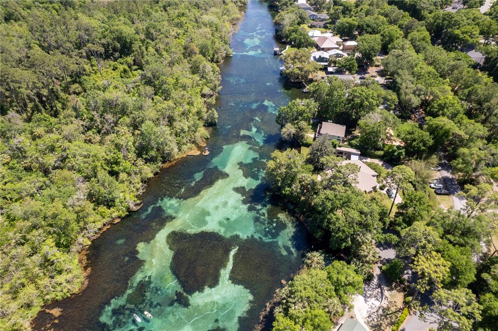 19643 Southwest 79th Place Dunnellon, FL 34432 - Photo 53 of 65