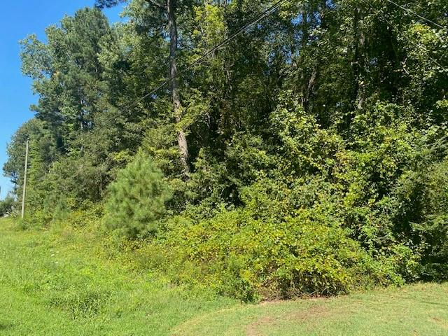 Lot 46 Nocks Landing Road, Unit 46 Atlantic, VA 23303 - Photo 1 of 1