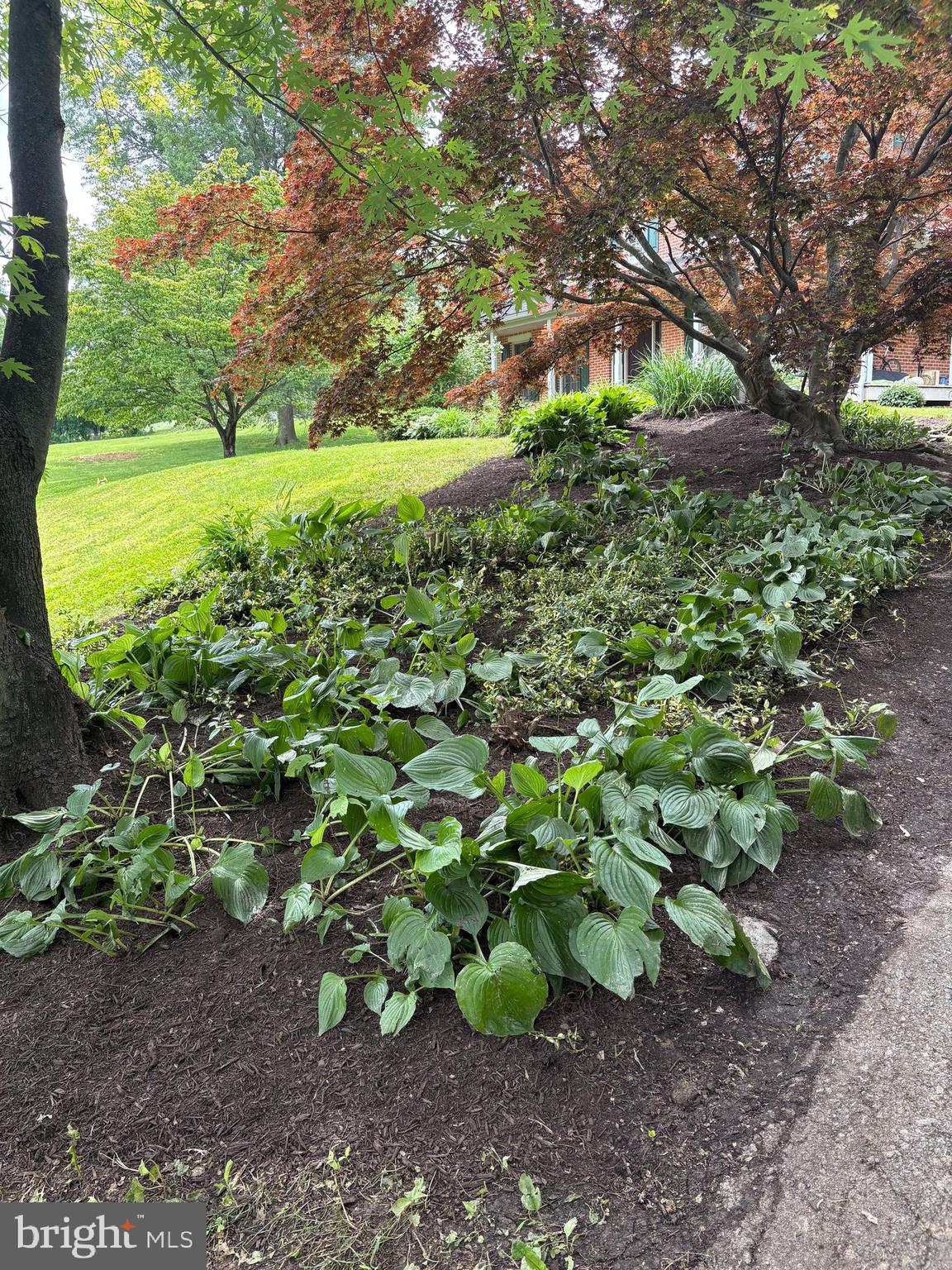 184 Pittsburg Valley Road Conestoga, PA 17516 - Photo 8 of 10 a view of a garden with plants