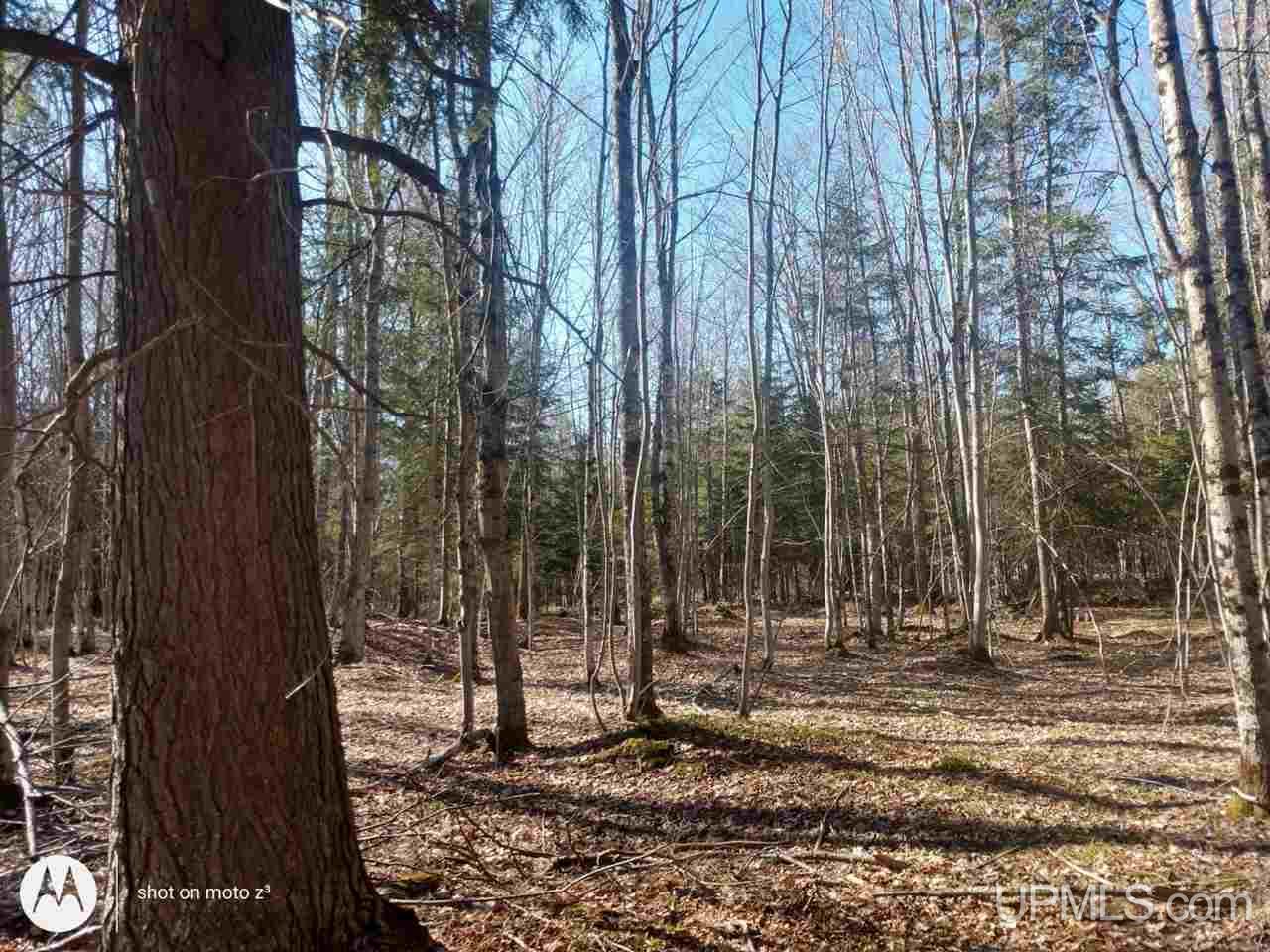12446 Lucas Road Skanee, MI 49962 - Photo 47 of 58 Gallery Image 47