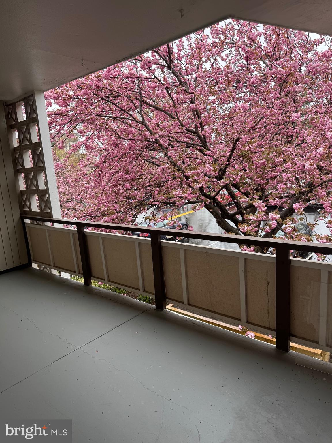 7553 Spring Lake Drive, Unit D Bethesda, MD 20817 - Photo 3 of 20