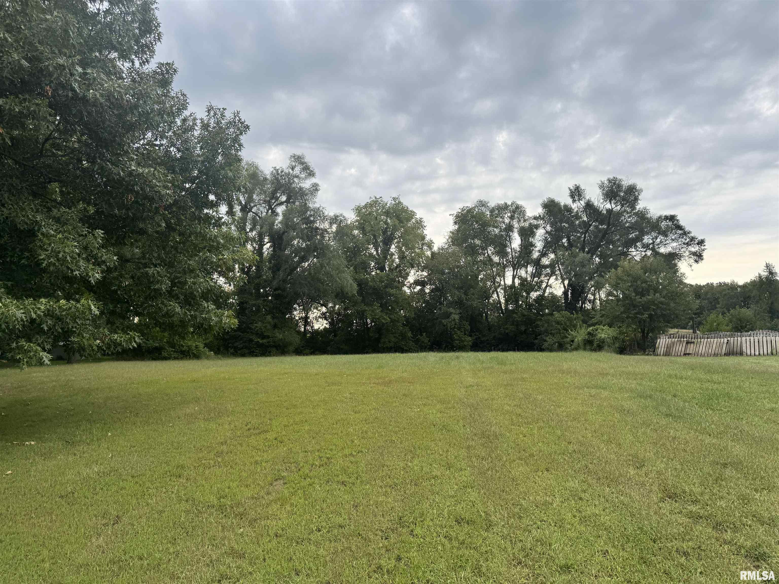 Lot 4 River Road Cordova, IL 61242 - Photo 1 of 3 Gallery Image 1