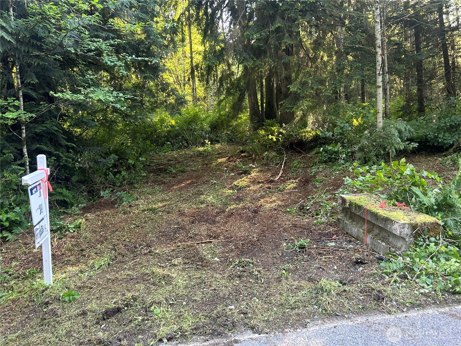 509 Summerland Road Bellingham, WA 98229 - Photo 5 of 16 Gallery Image 5