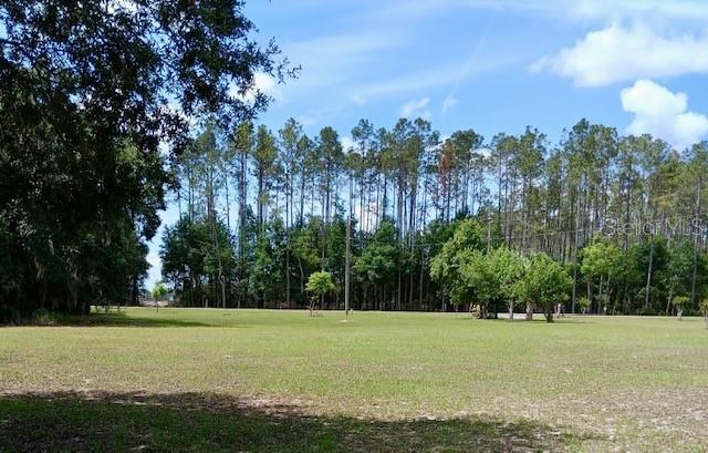 17749 Southeast 156th Place Road Weirsdale, FL 32195 - Photo 33 of 33