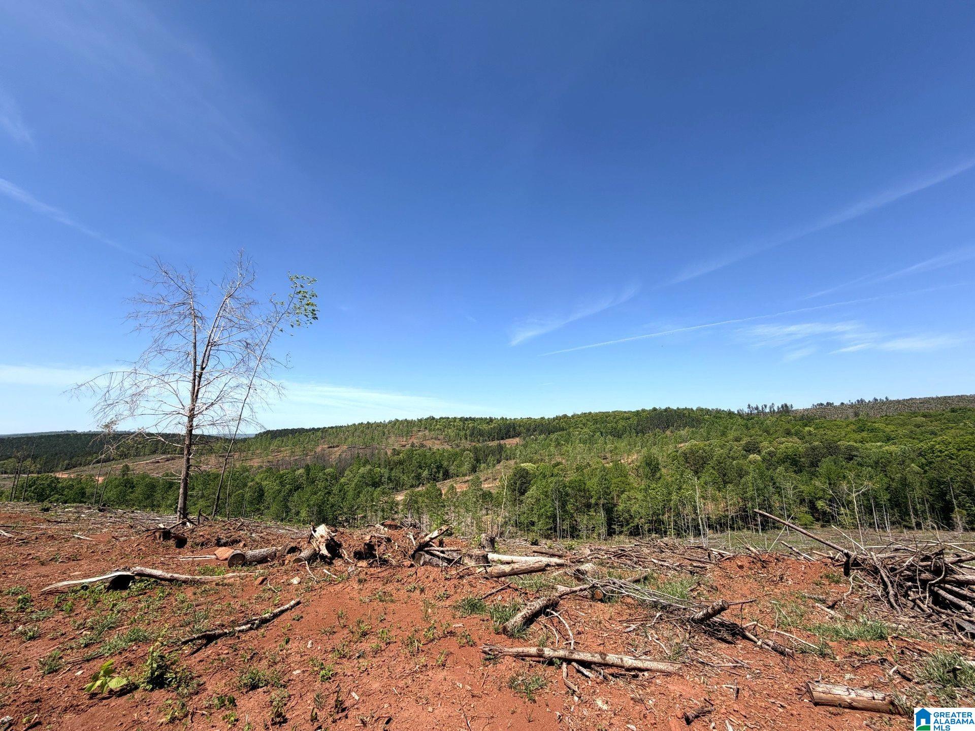 Mines Road, Unit 218 Talladega, AL 35160 - Photo 18 of 21 Gallery Image 18