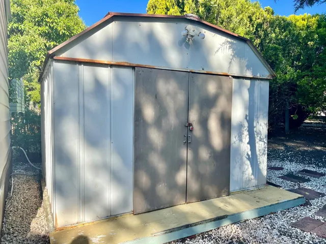 a view of a tree with a yard