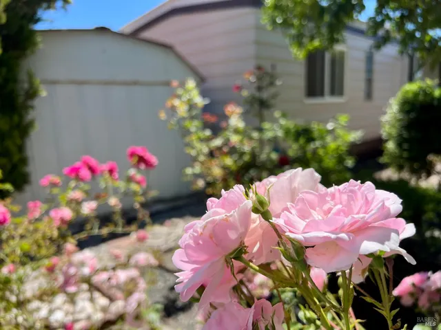 a view of a porch with furniture and a yard