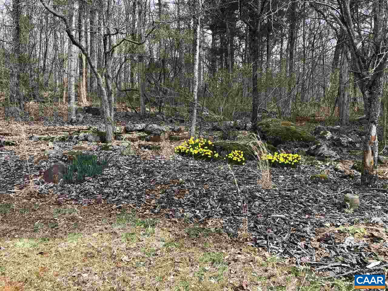 3285 Hardware River Road Charlottesville, VA 22903 - Photo 22 of 22 a view of a park with large trees