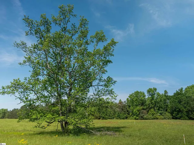 $395,000 | 0 Holliday Dam Road, Honea Path, SC 29654