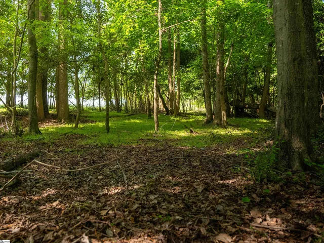 $395,000 | 0 Holliday Dam Road, Honea Path, SC 29654