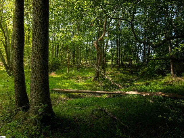 $395,000 | 0 Holliday Dam Road, Honea Path, SC 29654