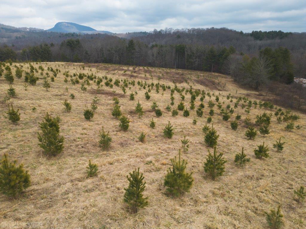 3 Long Mountain Road Southwest Willis, VA 24380 - Photo 12 of 66 Gallery Image 12