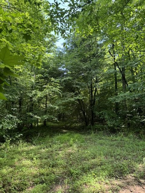 2784 Fiery Gizzard Road South Pittsburg, TN 37380 - Photo 17 of 19 Hankins 20