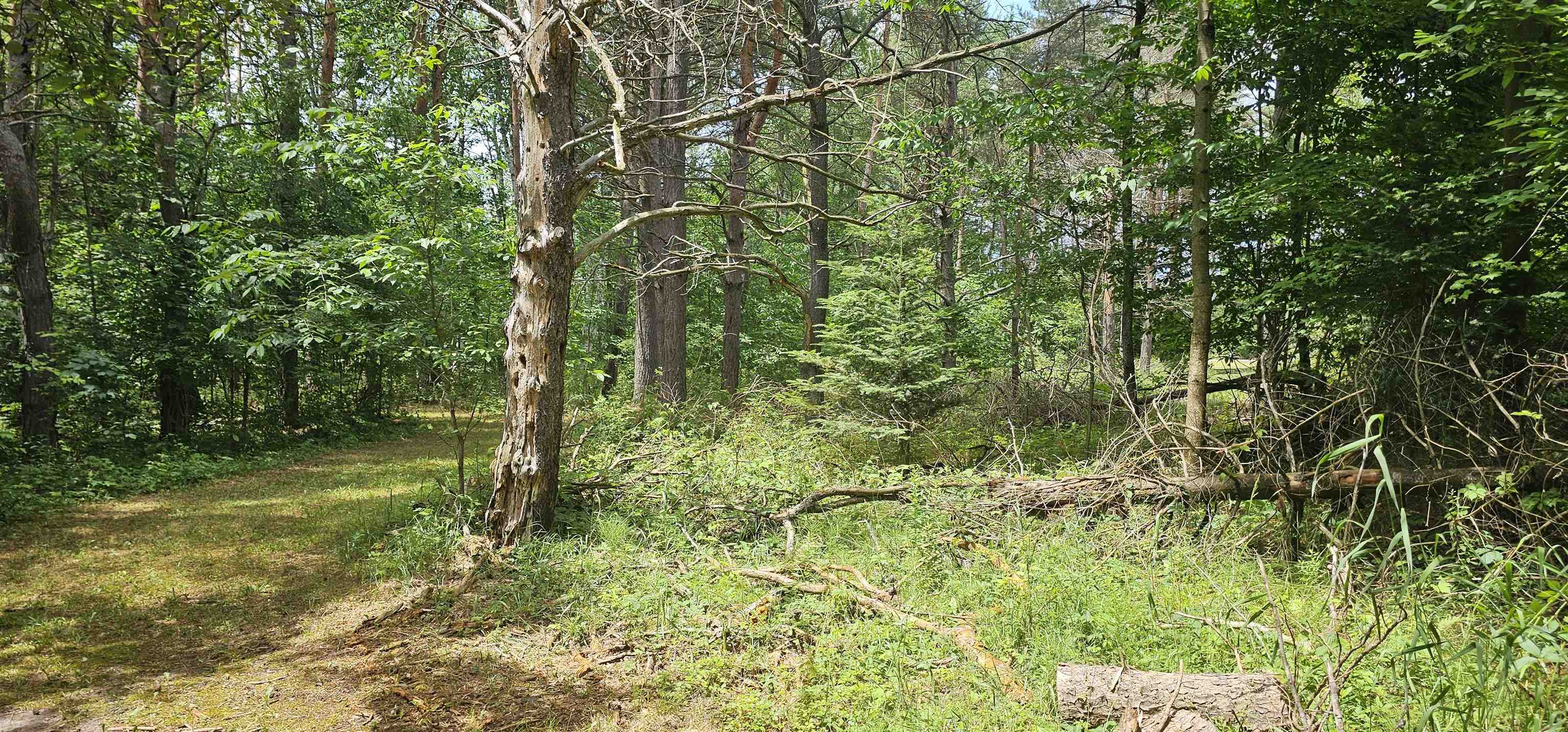 2776 Twin Lake Road Lupton, MI 48635 - Photo 19 of 55 1924115-eb361b66-6d7b-4d8d-8349-53e35faa46b6.JPG