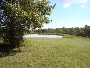 485 Meadow Ridge Loop Buncombe, IL 62912 - Photo 12 of 12