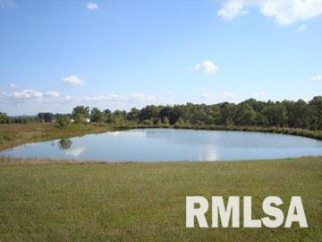485 Meadow Ridge Loop Buncombe, IL 62912 - Photo 10 of 12