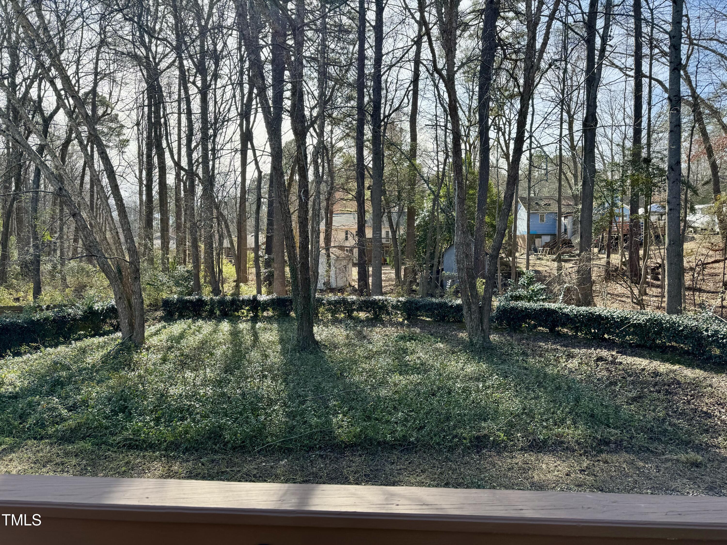 7637 Wilderness Road Raleigh, NC 27613 - Photo 32 of 33 a view of backyard with green space