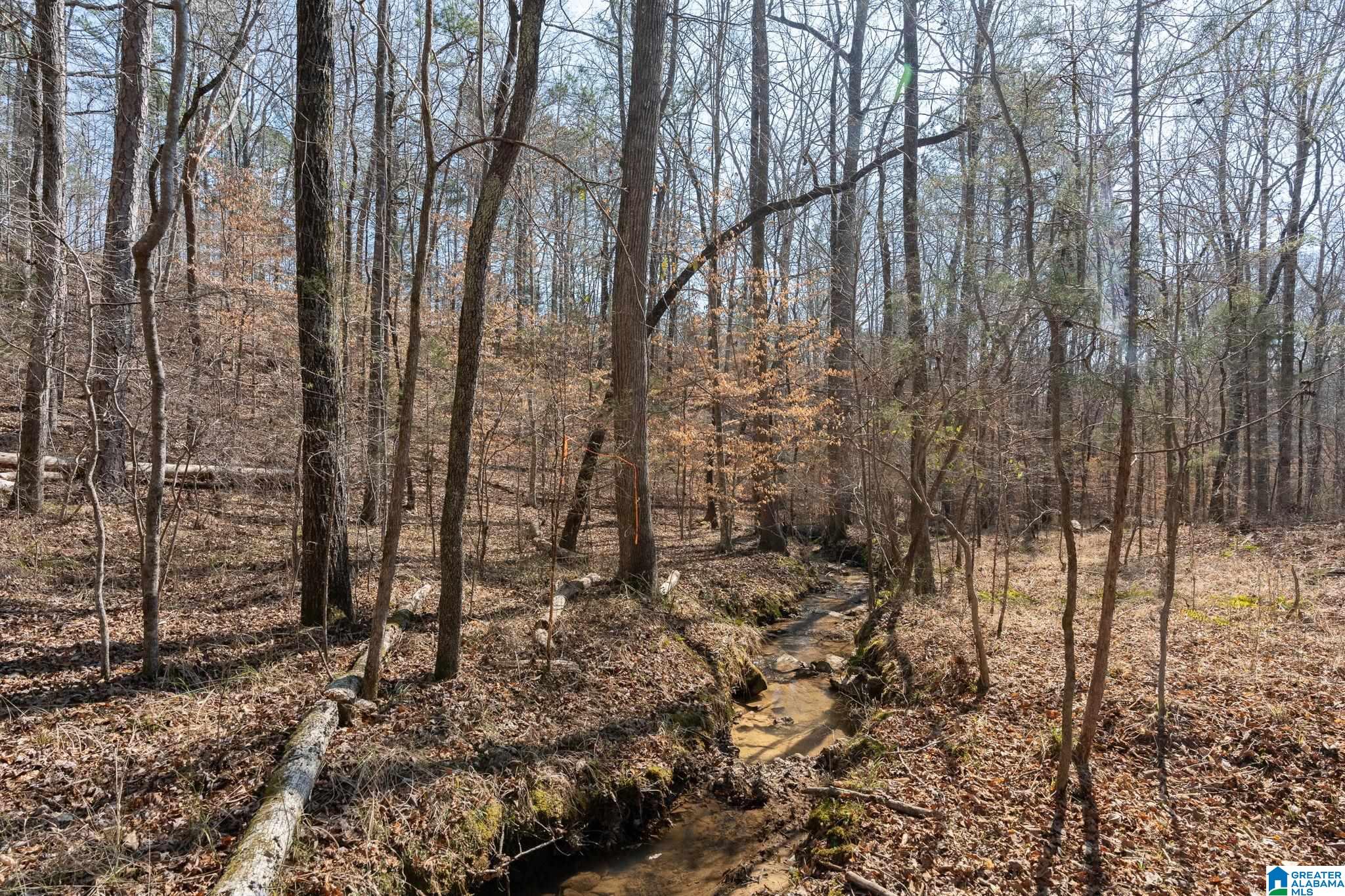 2050 Argo Margaret Road Odenville, AL 35120 - Photo 59 of 61
