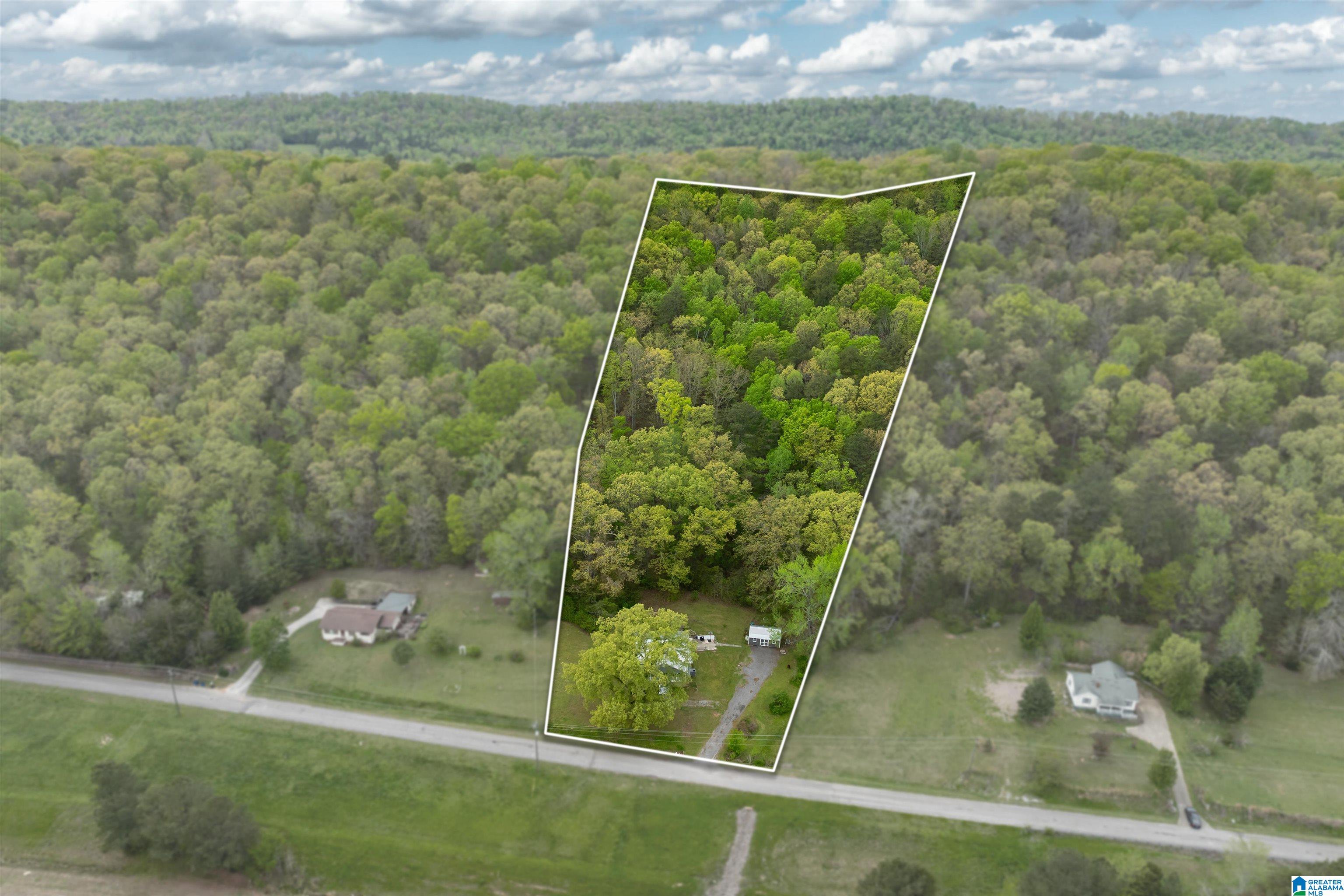 16631 Remlap Drive Remlap, AL 35133 - Photo 27 of 41
