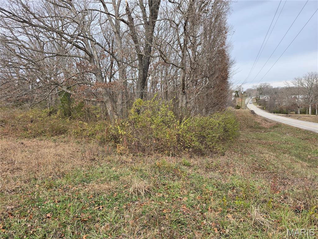 0 Crescent Lake Road St. Clair, MO 63077 - Photo 3 of 9