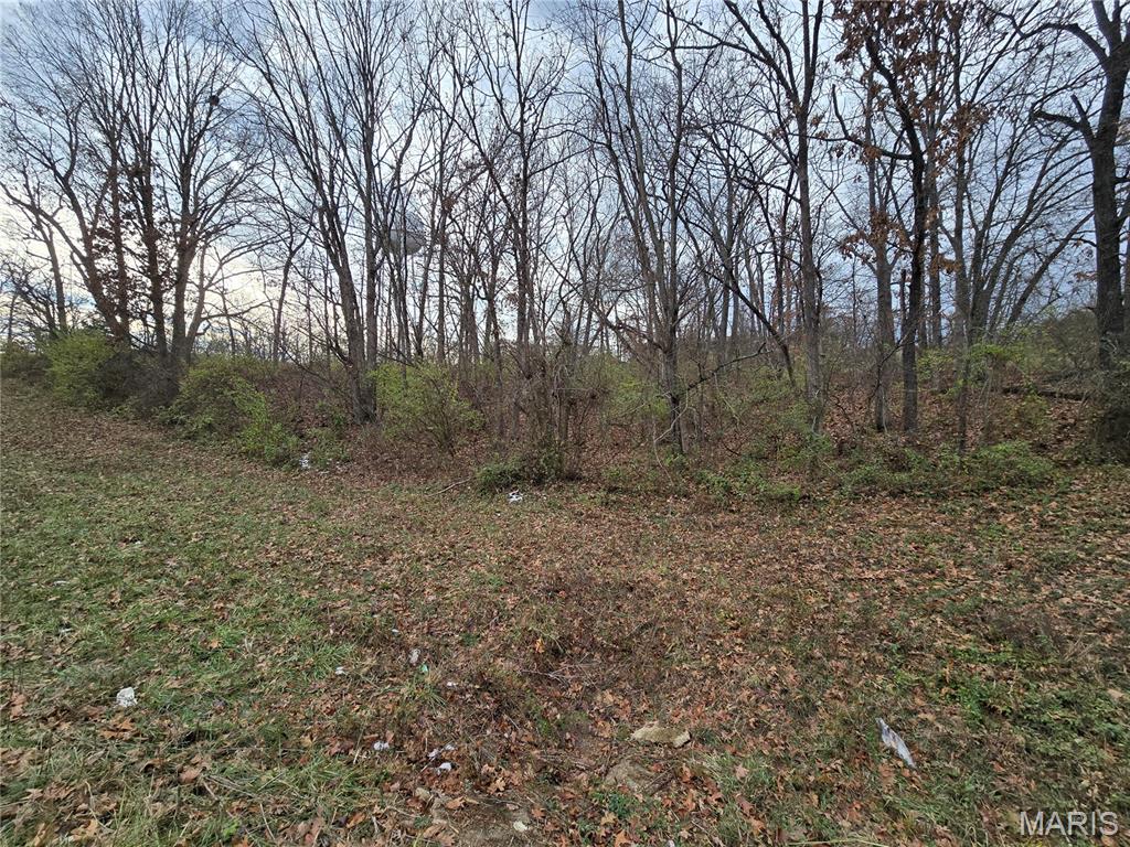 0 Crescent Lake Road St. Clair, MO 63077 - Photo 9 of 9