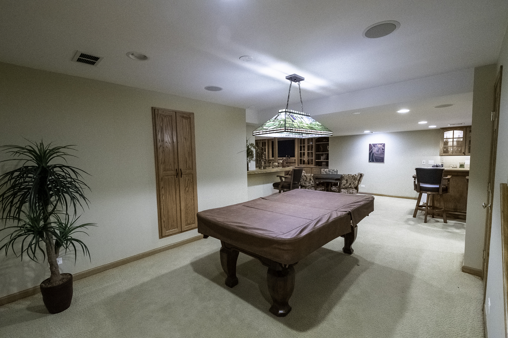 4214 Venard Road Downers Grove, IL 60515 - Photo 20 of 45