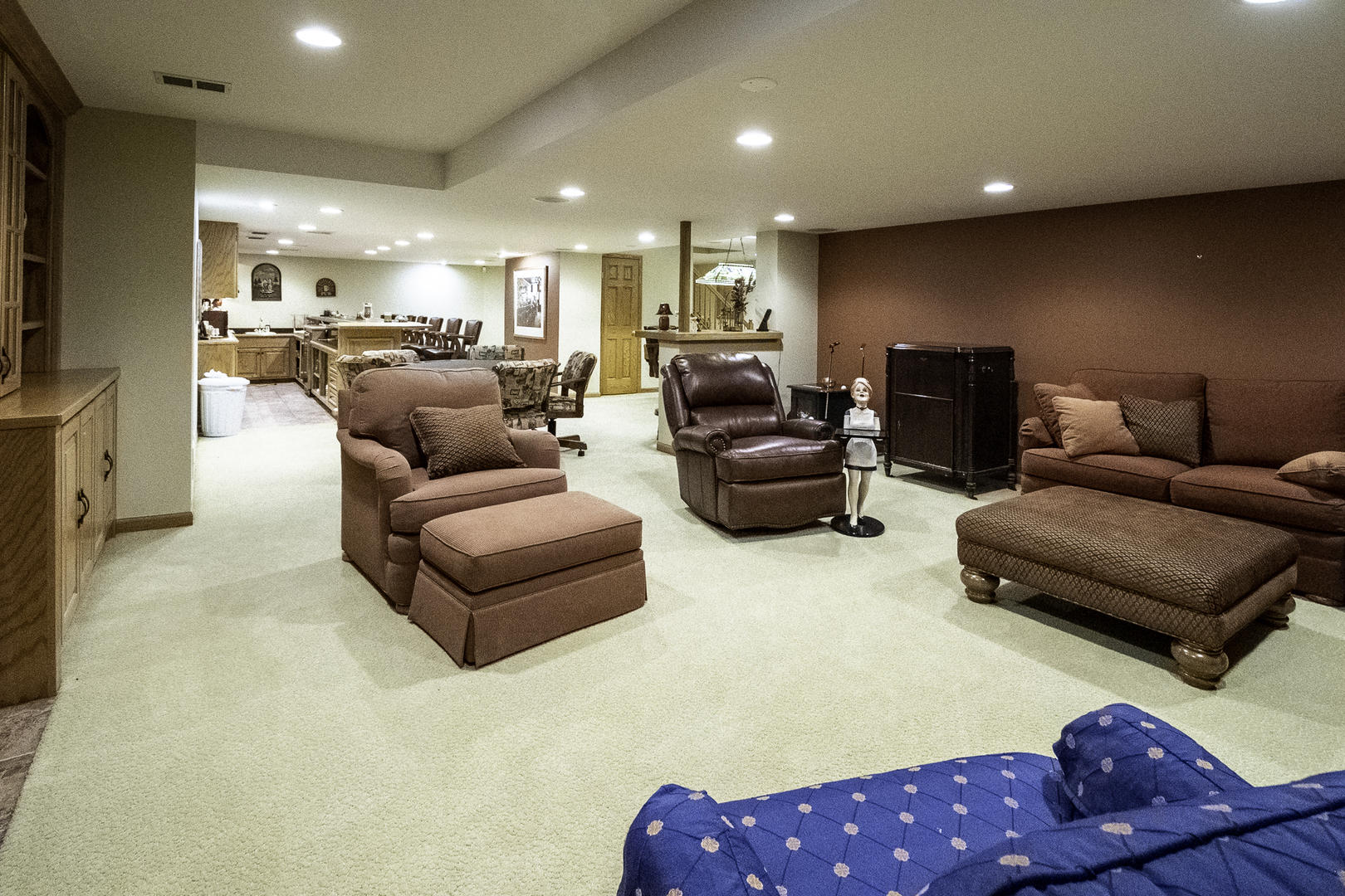 4214 Venard Road Downers Grove, IL 60515 - Photo 23 of 45 a living room with furniture