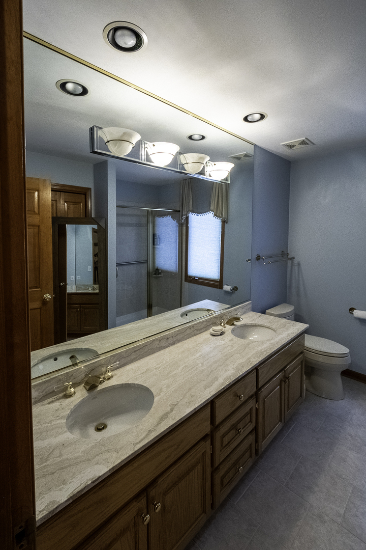 4214 Venard Road Downers Grove, IL 60515 - Photo 35 of 45 a bathroom with a sink and a large mirror