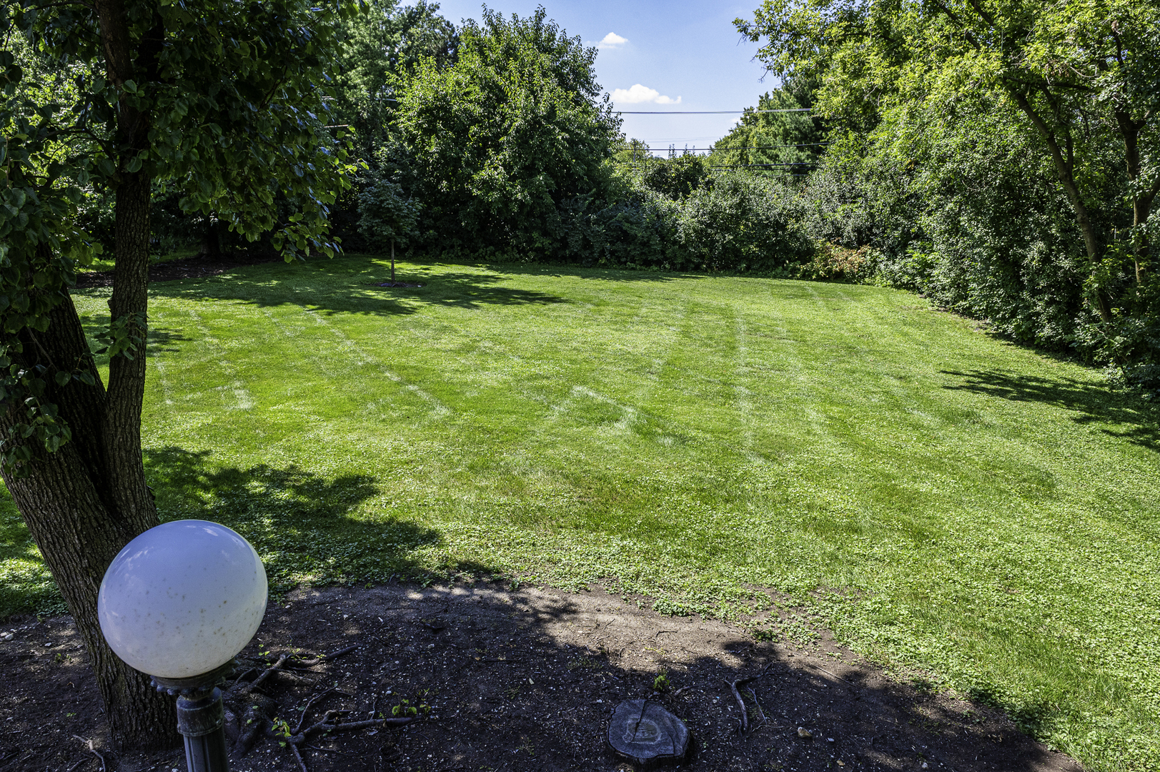 4214 Venard Road Downers Grove, IL 60515 - Photo 40 of 45 a view of a backyard with a small yard and large trees