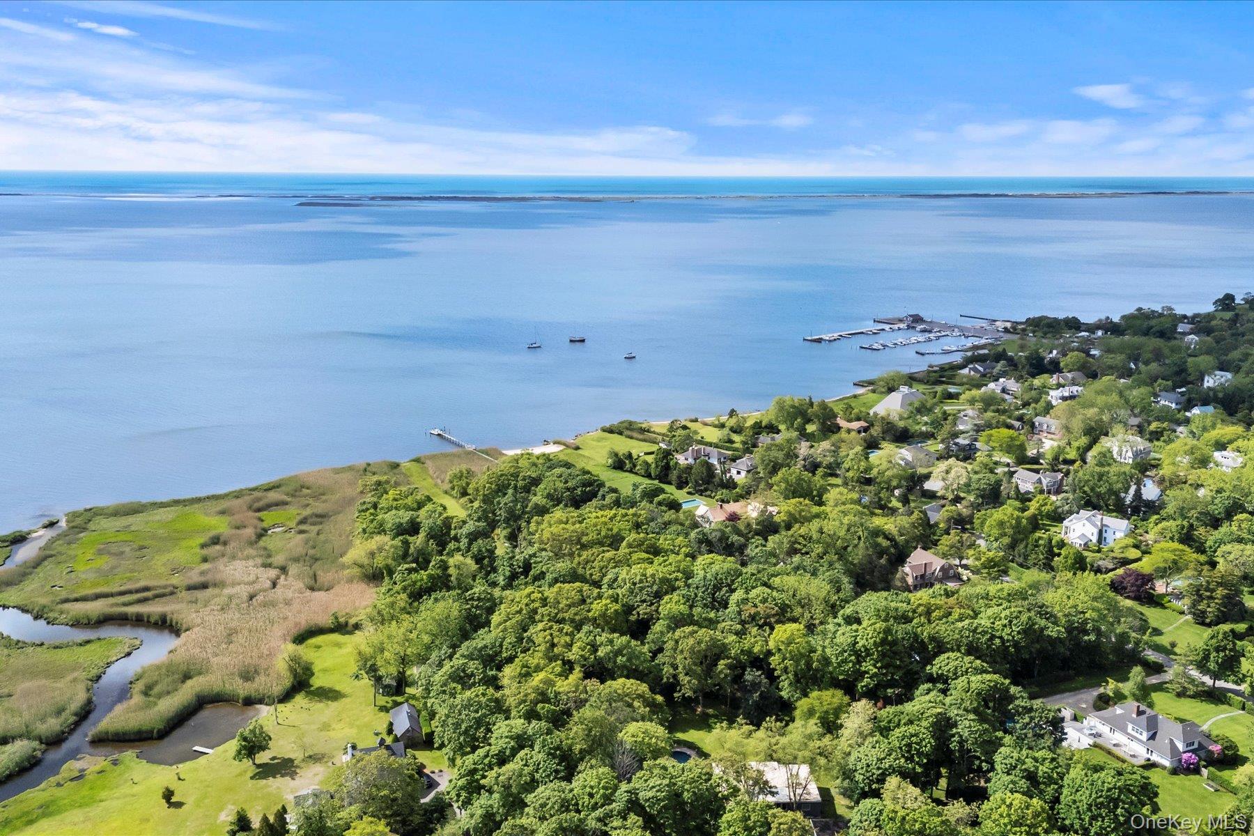 198 South Country Road Bellport, NY 11713 - Photo 8 of 19