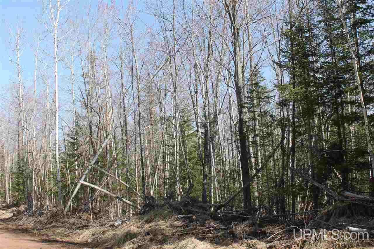 Tbd Reeds Point Road, Unit LAT 46 89919 LON 88 2455 Lanse, MI 49946 - Photo 15 of 19