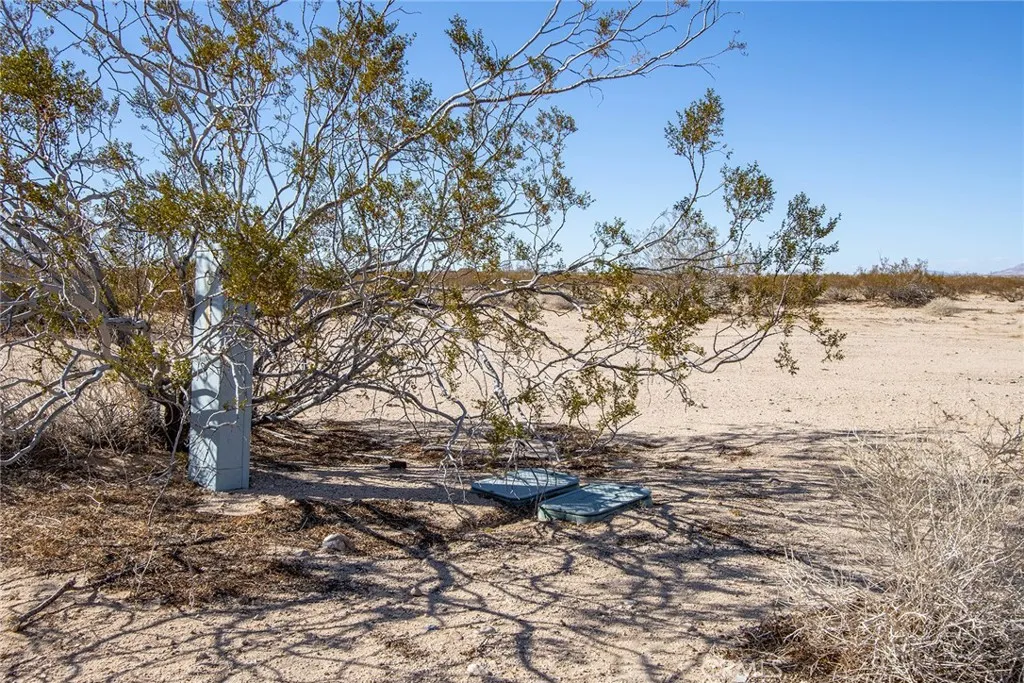1400 Learco Joshua Tree, CA 92252 - Photo 13 of 15 a view of a yard with a tree