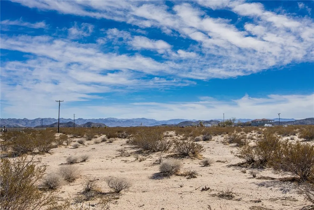 1400 Learco Joshua Tree, CA 92252 - Photo 7 of 15 a view of ocean view with large trees