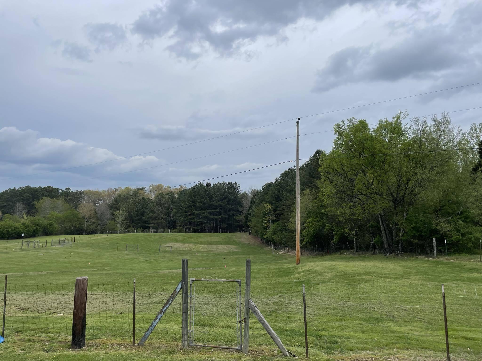 1192 Taylor Broome Road Chickamauga, GA 30707 - Photo 3 of 6 Beauty abounds