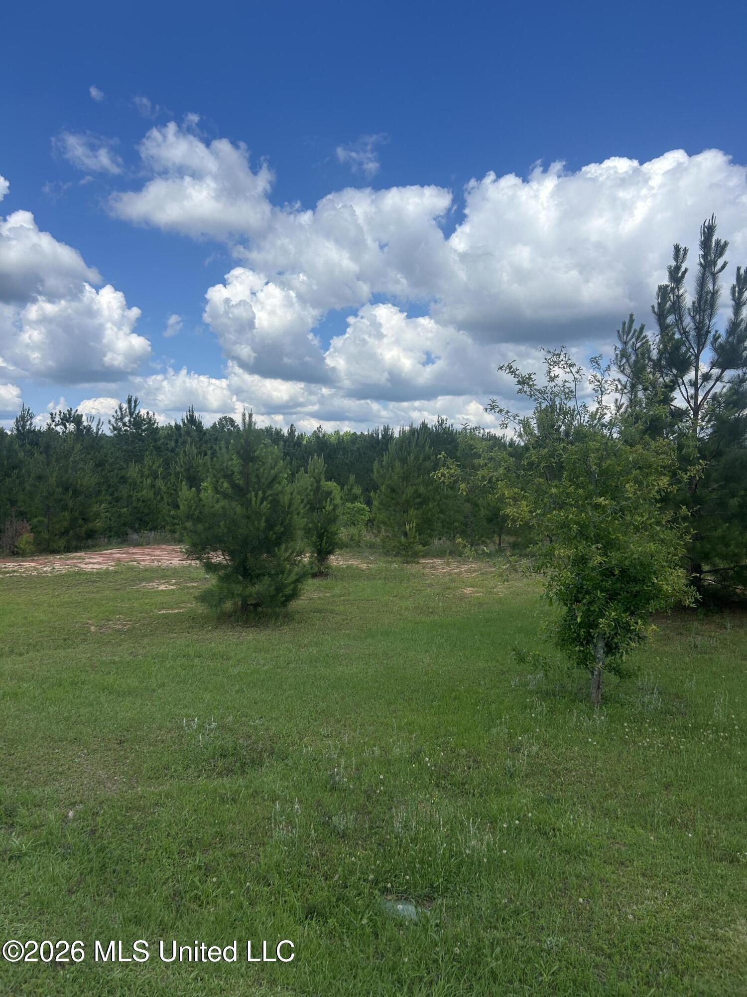 52 Joe Traylor Road Hattiesburg, MS 39402 - Photo 2 of 2 IMG_8153