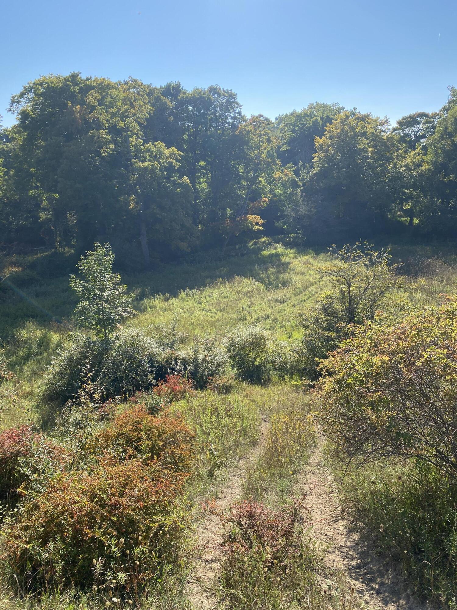 5435 Edwards Road Harbor Beach, MI 48441 - Photo 34 of 49 Hunt 17