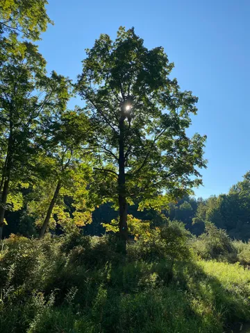 $349,000 | 5435 Edwards Road, Harbor Beach, MI 48441