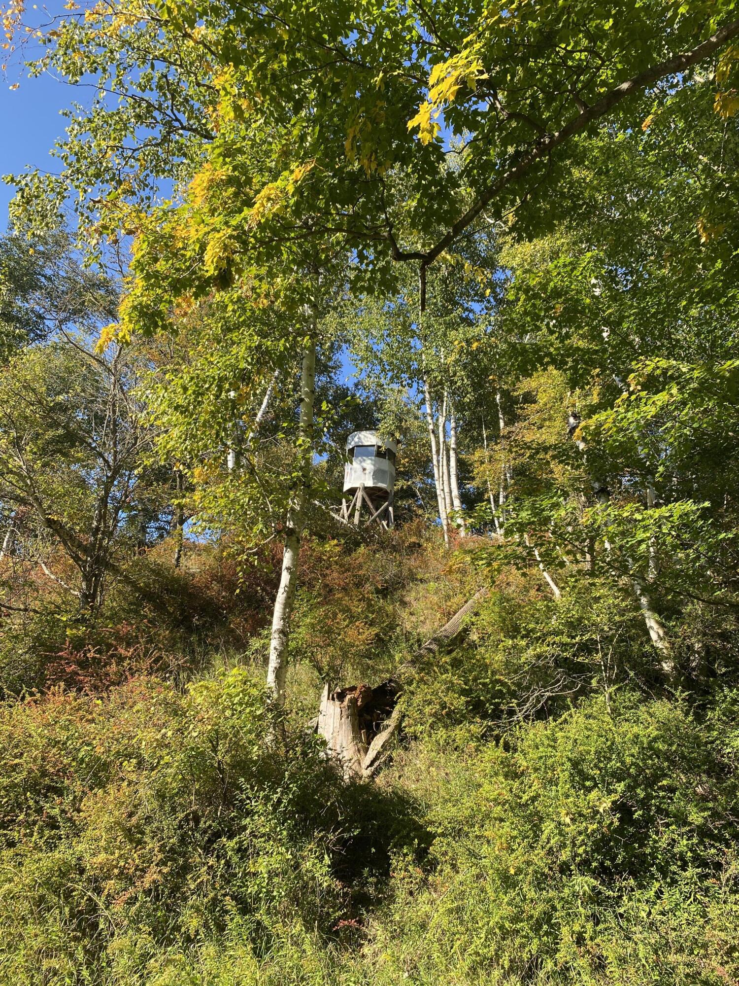 5435 Edwards Road Harbor Beach, MI 48441 - Photo 38 of 49 Hunt 22