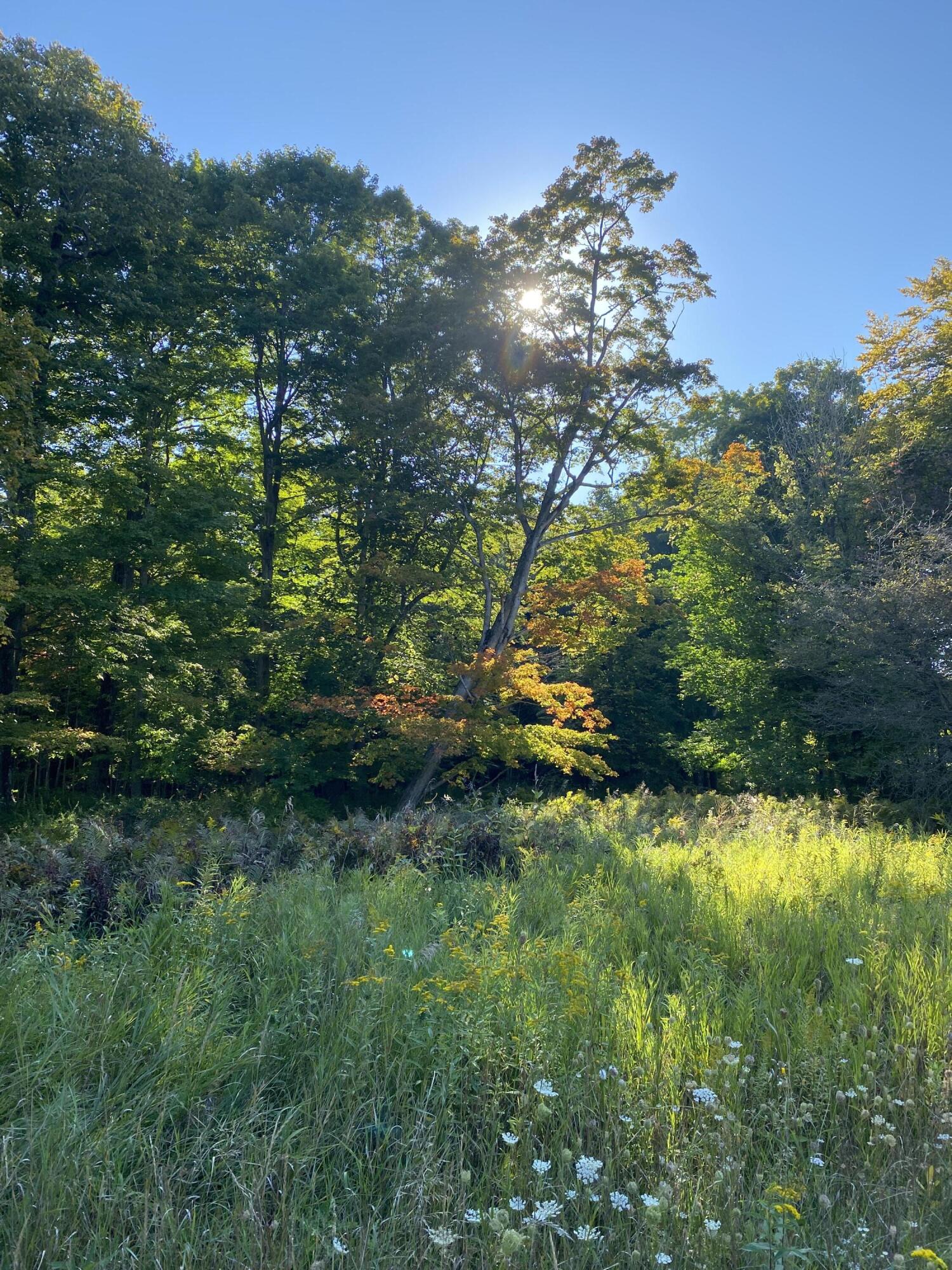 5435 Edwards Road Harbor Beach, MI 48441 - Photo 41 of 49 Hunt 28