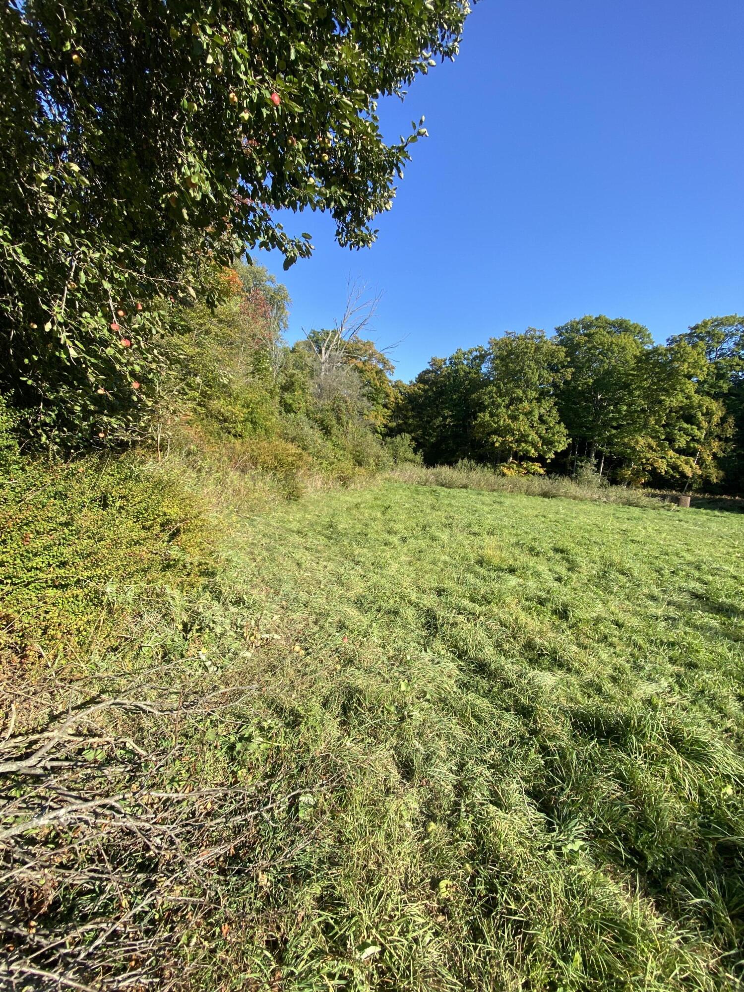 5435 Edwards Road Harbor Beach, MI 48441 - Photo 42 of 49 Hunt 29