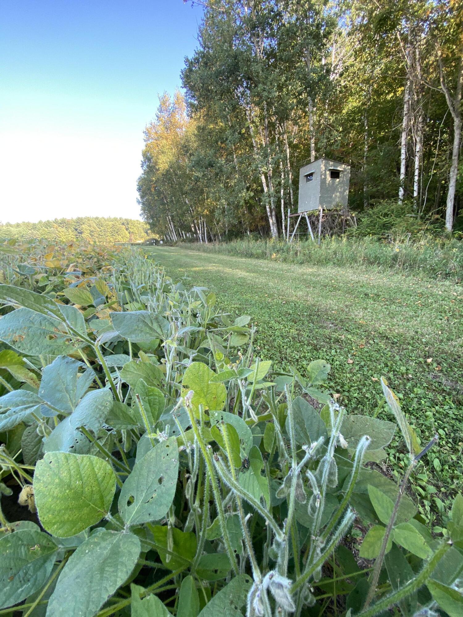 5435 Edwards Road Harbor Beach, MI 48441 - Photo 44 of 49 Hunt 34