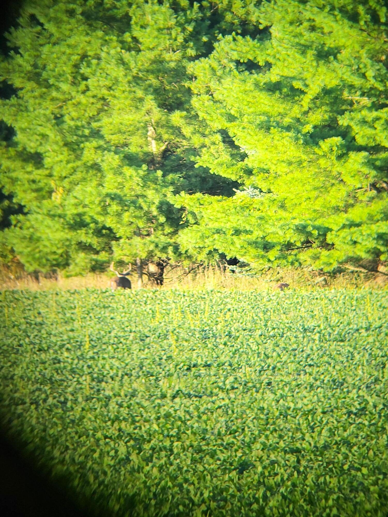 5435 Edwards Road Harbor Beach, MI 48441 - Photo 47 of 49 20250830_191116