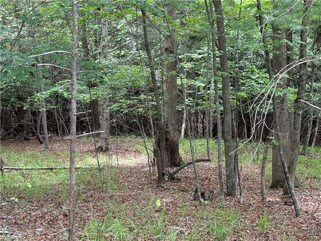 0 Old Lowgap Road Lowgap, NC 27024 - Photo 3 of 13
