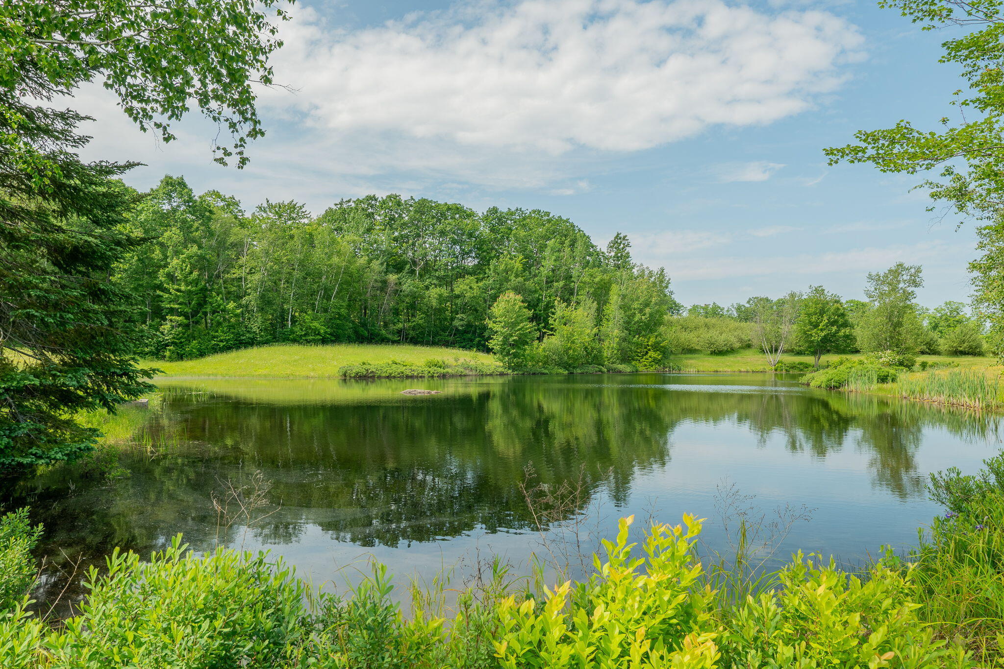 287 Brock Road Lyman, ME 04002 - Photo 47 of 56 115-web-or-mls-287 Brock Road-115