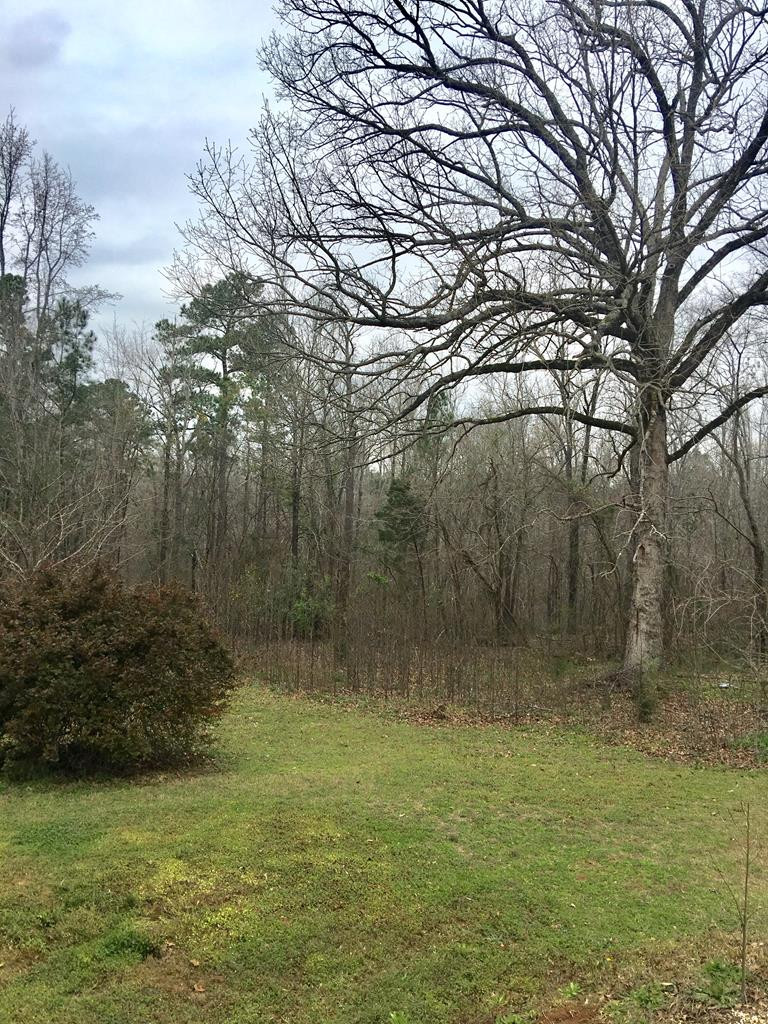 748 Briggs Road North Augusta, SC 29860 - Photo 3 of 4 Gallery Image 3