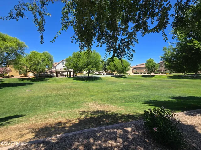 a view of a field with plants and trees