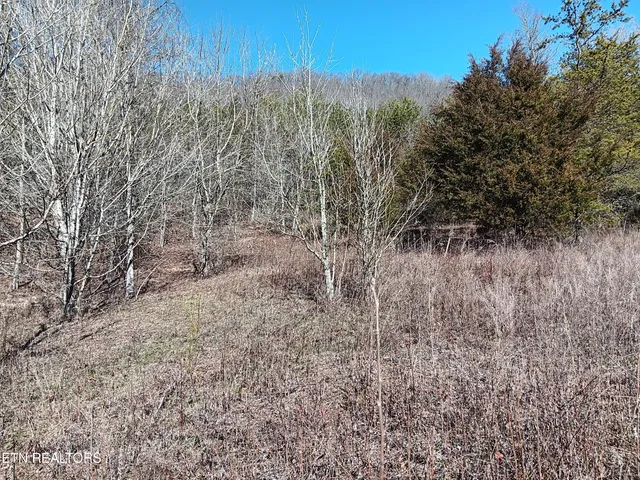 $99,900 | 0 Cracker Neck Road, Washburn, TN 37888