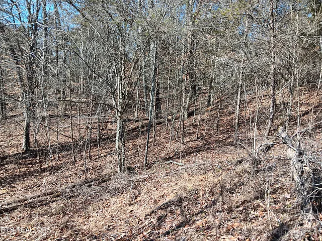 $99,900 | 0 Cracker Neck Road, Washburn, TN 37888